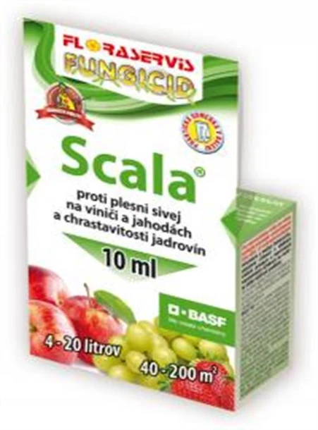 Scala 10ml